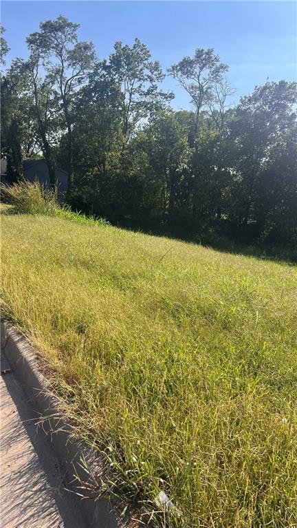 Listing Photo MLS #HMS2640928