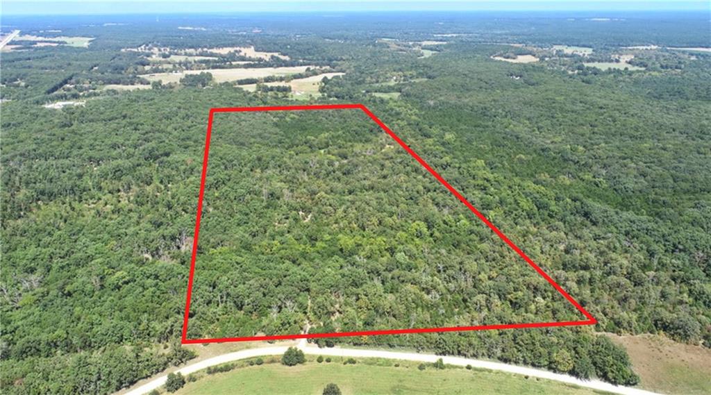 Listing Photo MLS #HMS2641056