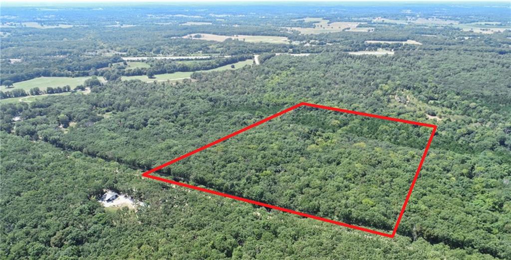 Listing Photo MLS #HMS2641078