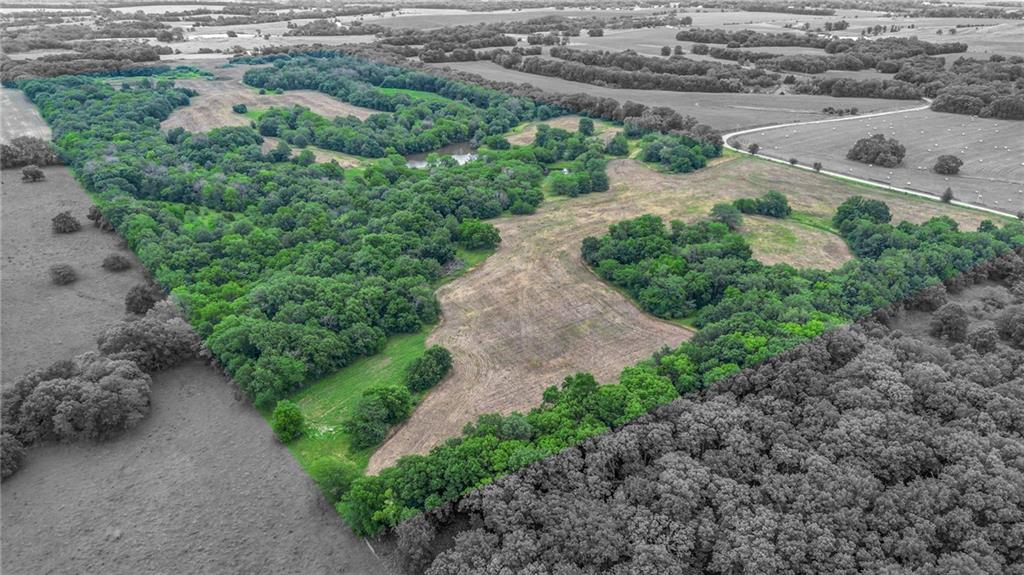 Listing Photo MLS #HMS2641214