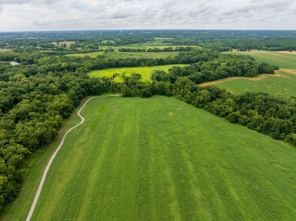 Listing Photo MLS #HMS2641335