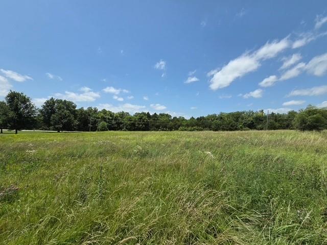 Listing Photo MLS #HMS2641393