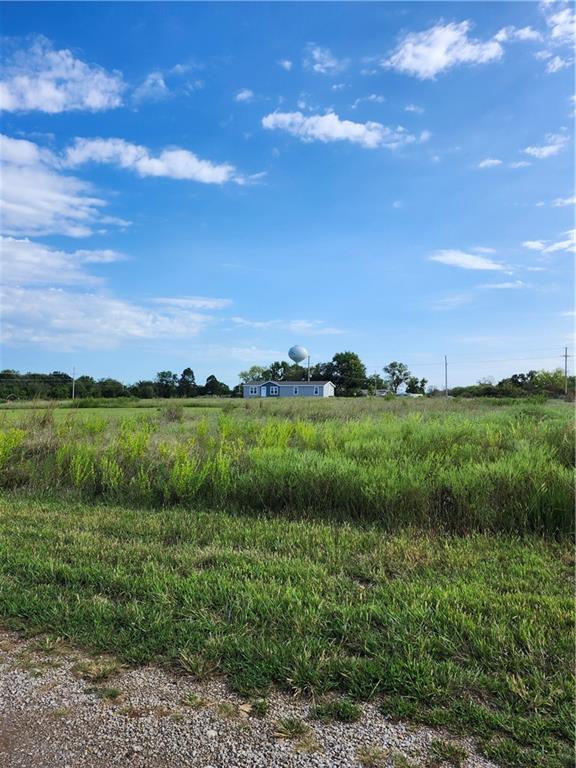 Listing Photo MLS #HMS2641985