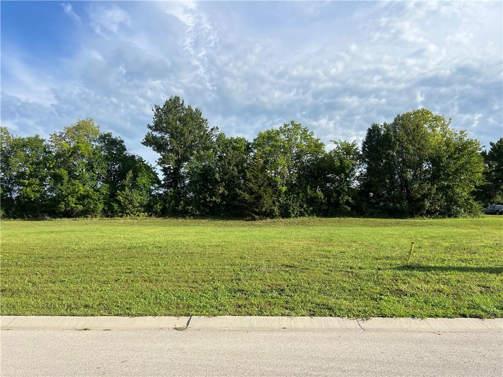Listing Photo MLS #HMS2642162