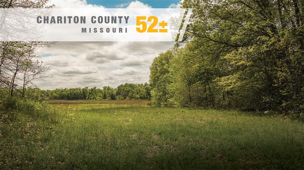 Listing Photo MLS #HMS2642281