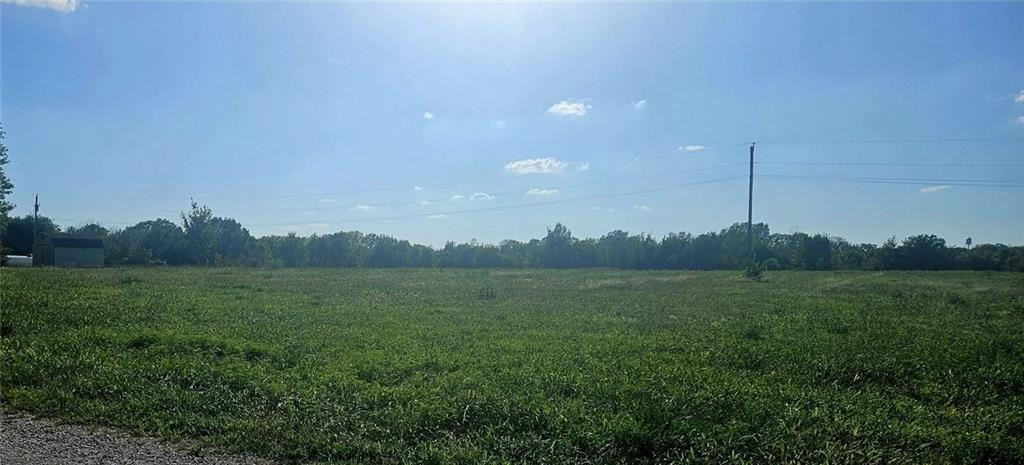 Listing Photo MLS #HMS2642382