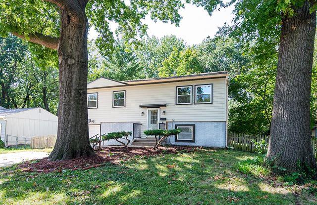 Listing Photo MLS #HMS2642574