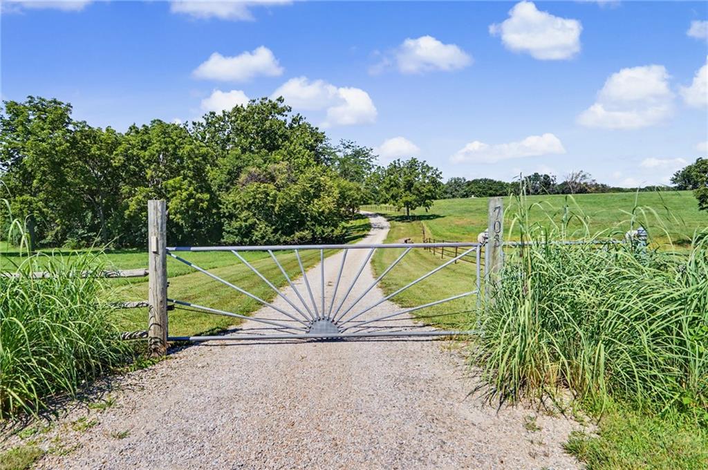 Listing Photo MLS #HMS2642718