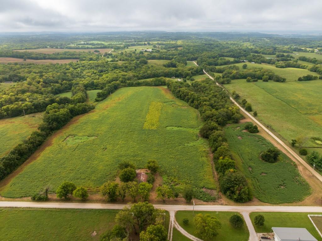 Listing Photo MLS #HMS2642977