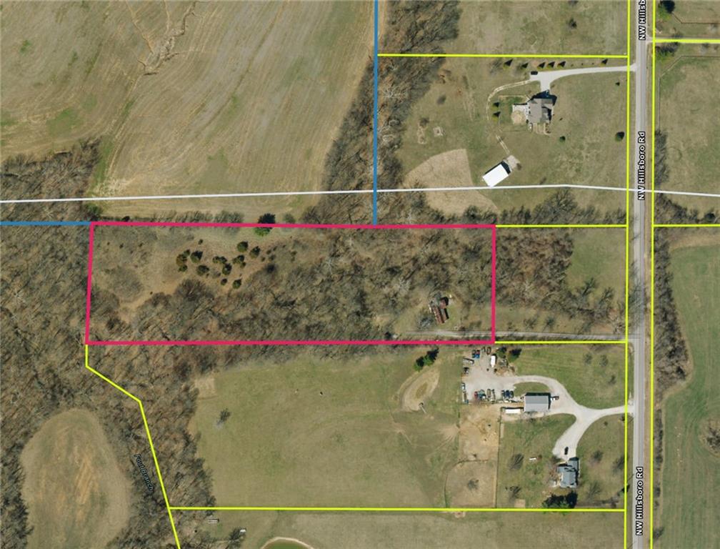 Listing Photo MLS #HMS2643012