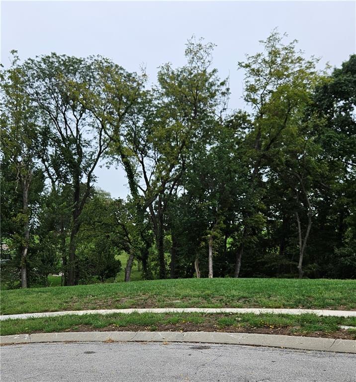 Listing Photo MLS #HMS2643265
