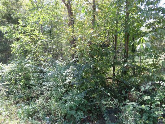 Listing Photo MLS #HMS2643297