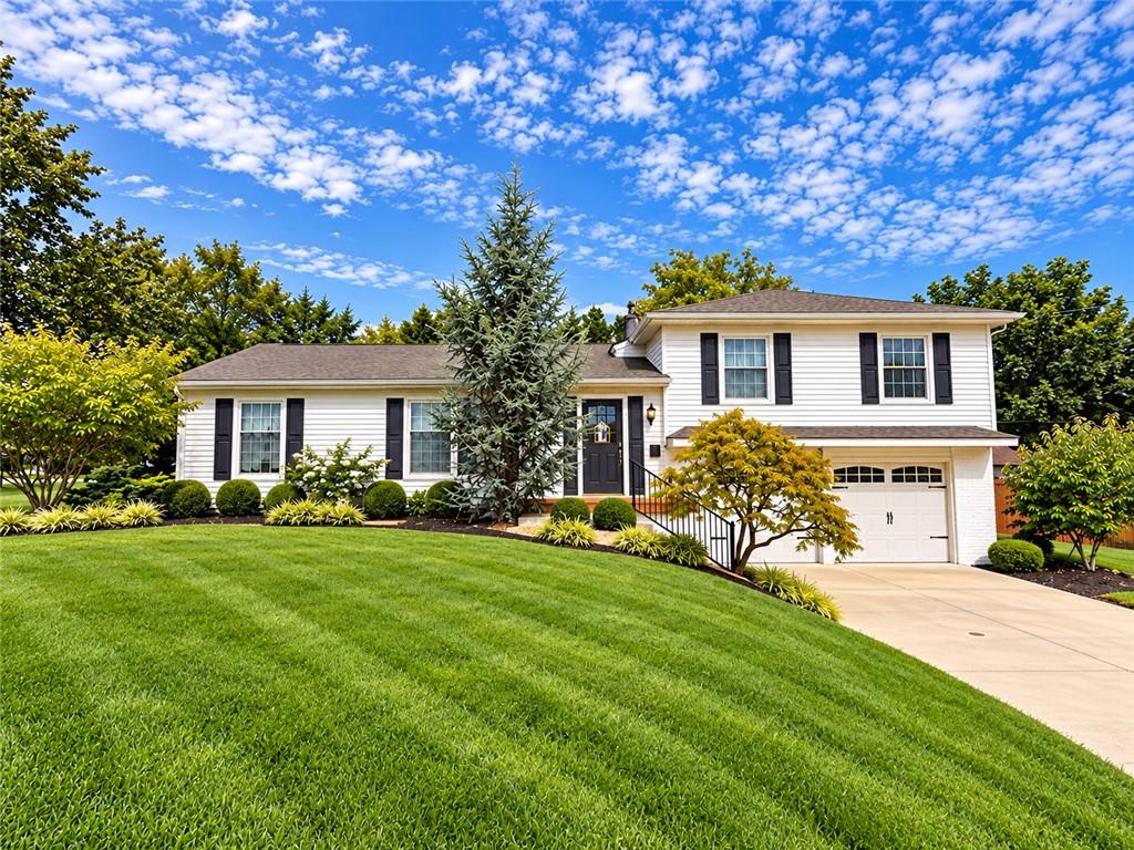 Listing Photo MLS #HMS2643425