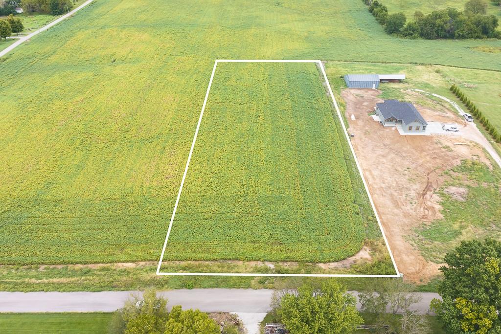 Listing Photo MLS #HMS2643496