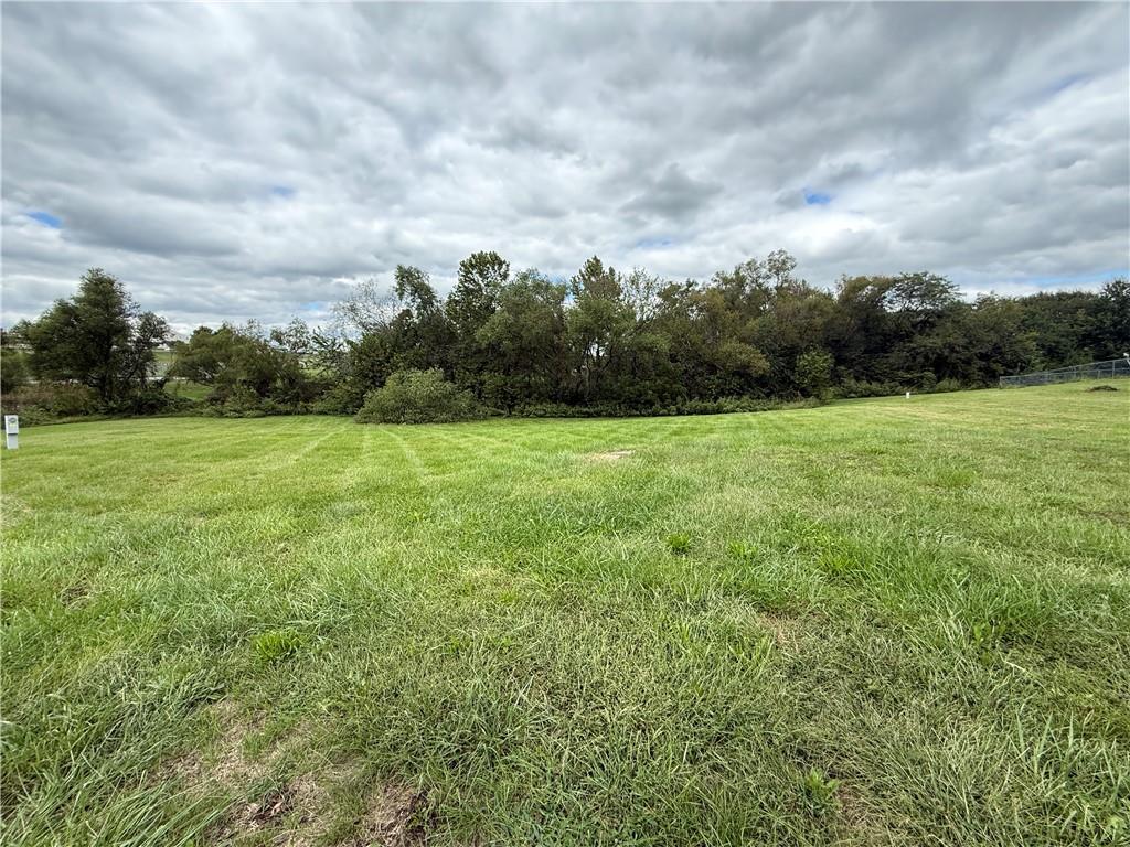 Listing Photo MLS #HMS2643649