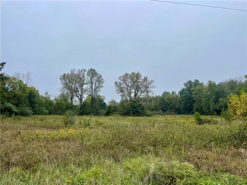 Listing Photo MLS #HMS2643662