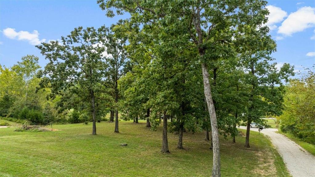 Listing Photo MLS #HMS2643735