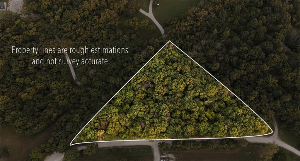 Listing Photo MLS #HMS2643748