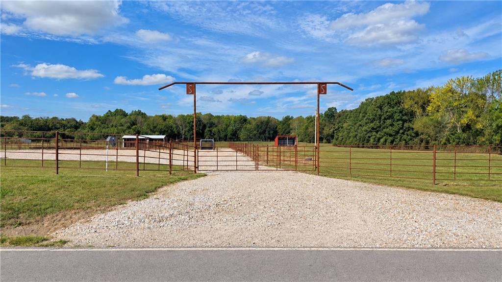 Listing Photo MLS #HMS2644028