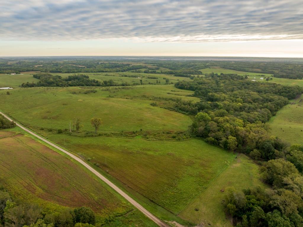 Listing Photo MLS #HMS2644066
