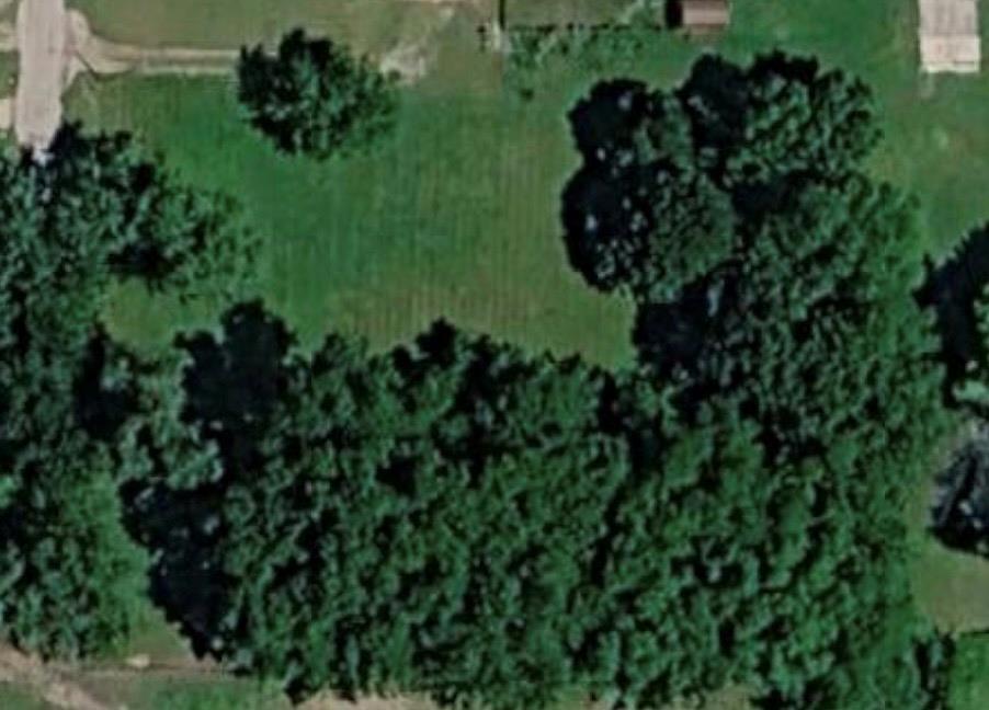 Listing Photo MLS #HMS2644092