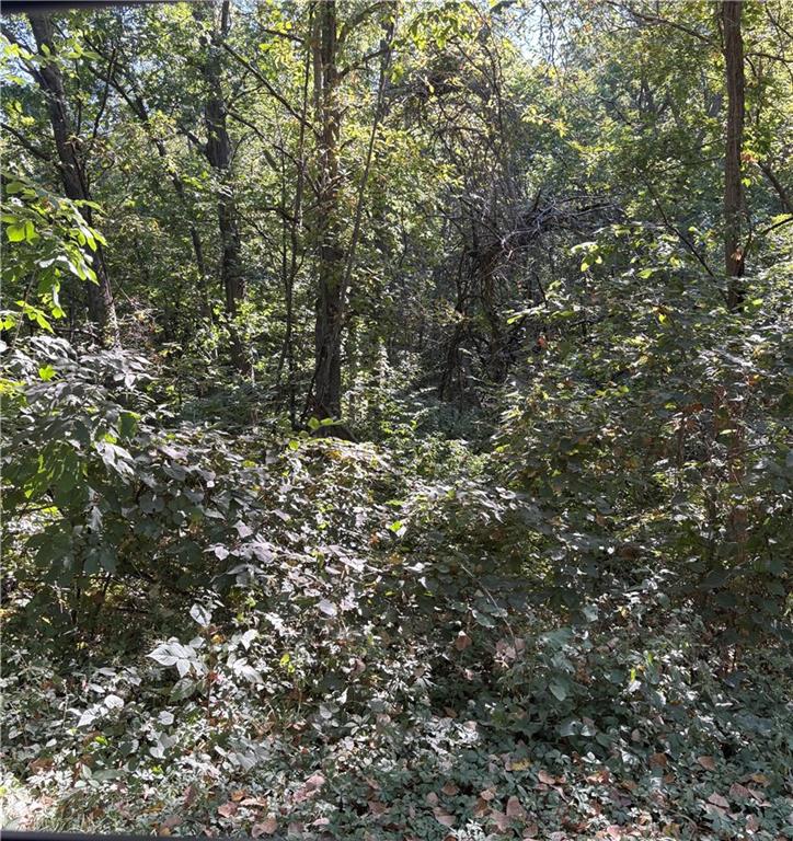 Listing Photo MLS #HMS2644144