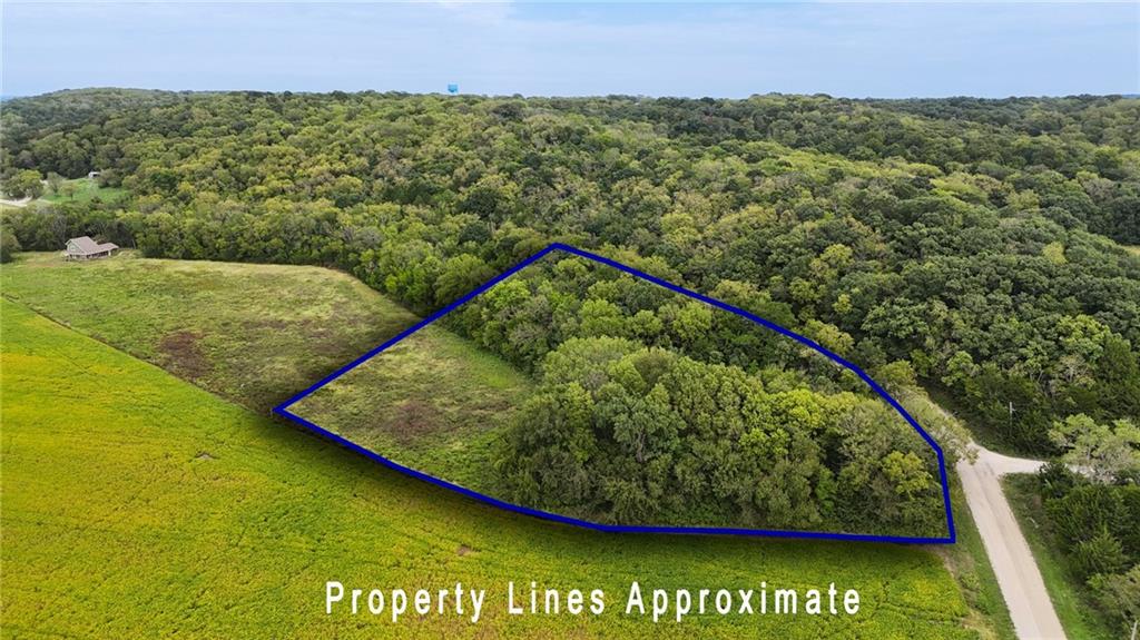 Listing Photo MLS #HMS2644288