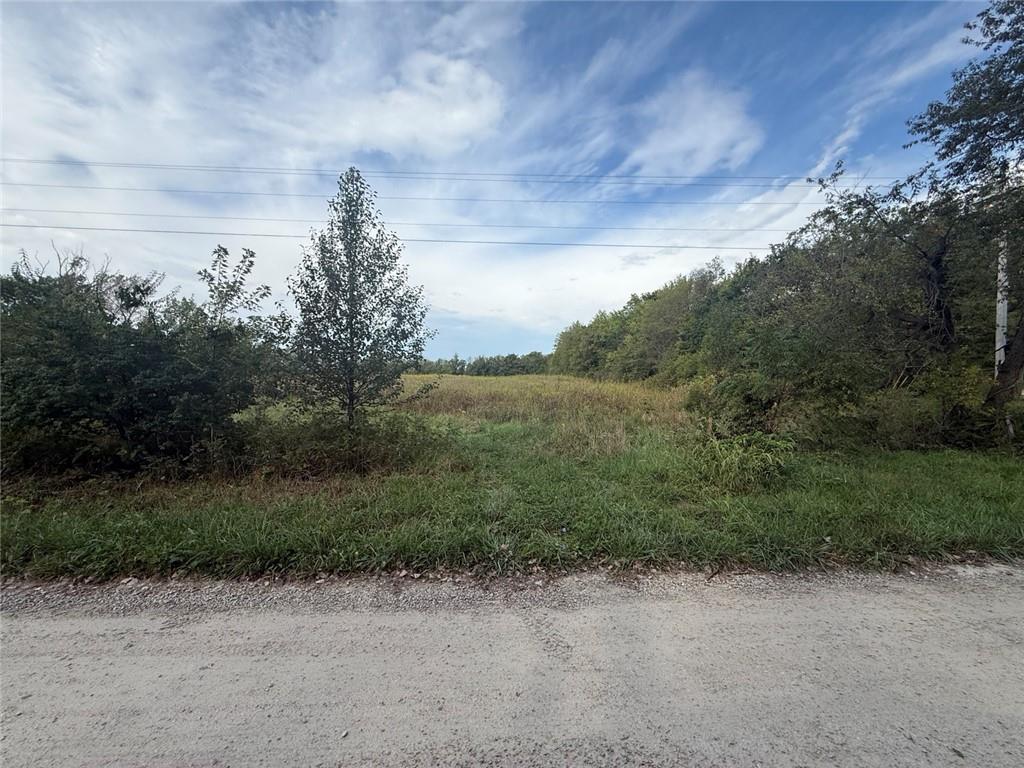 Listing Photo MLS #HMS2644356