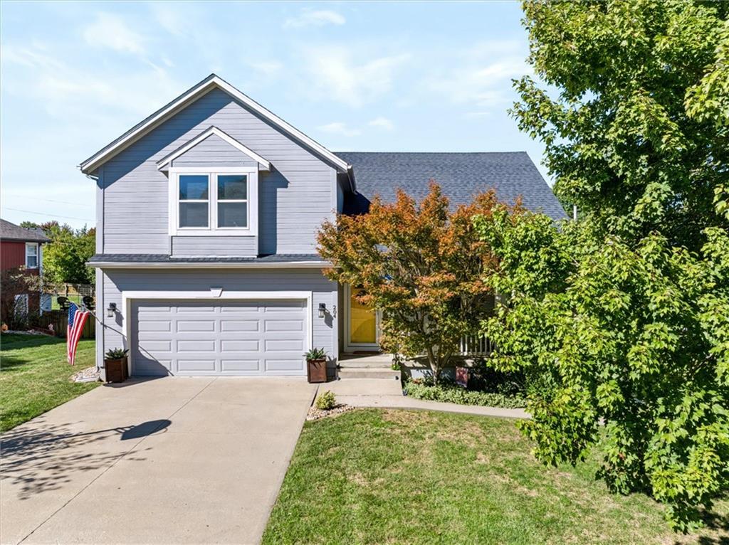 Listing Photo MLS #HMS2644373