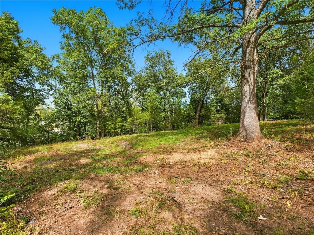 Listing Photo MLS #HMS2644425