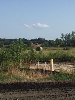 Listing Photo MLS #HMS2644444