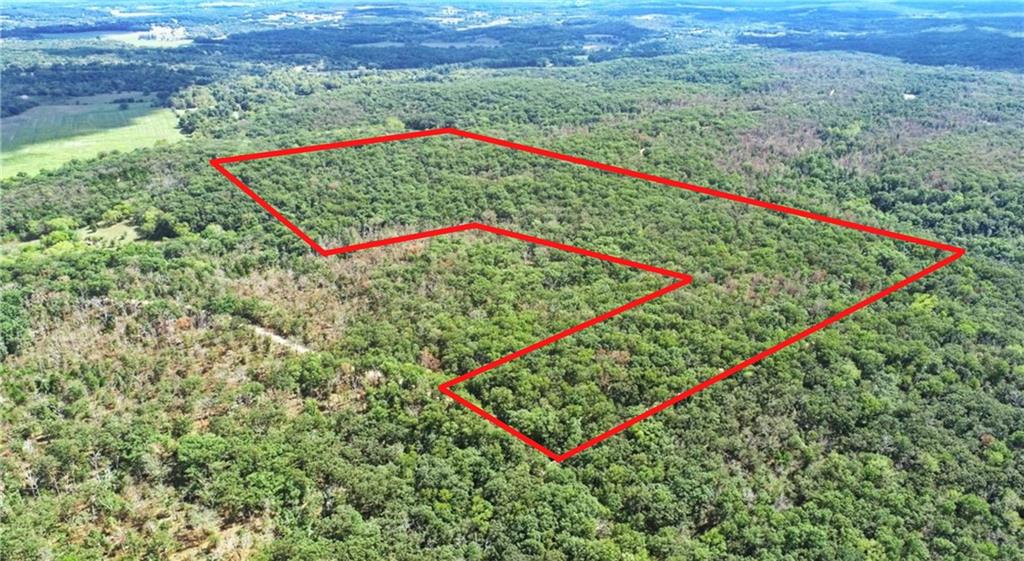 Listing Photo MLS #HMS2644608