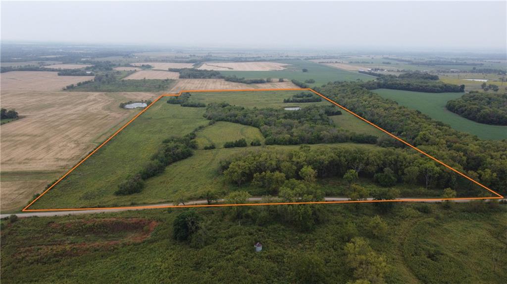 Listing Photo MLS #HMS2644666