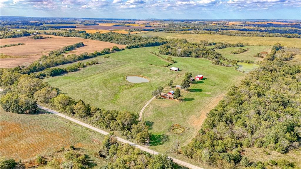 Listing Photo MLS #HMS2644759