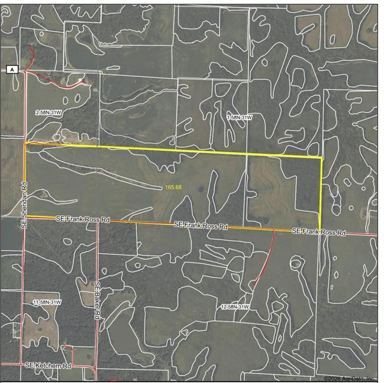 Listing Photo MLS #HMS2645080