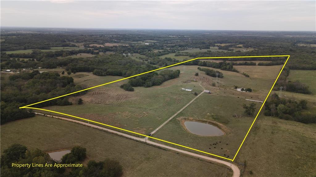 Listing Photo MLS #HMS2645180