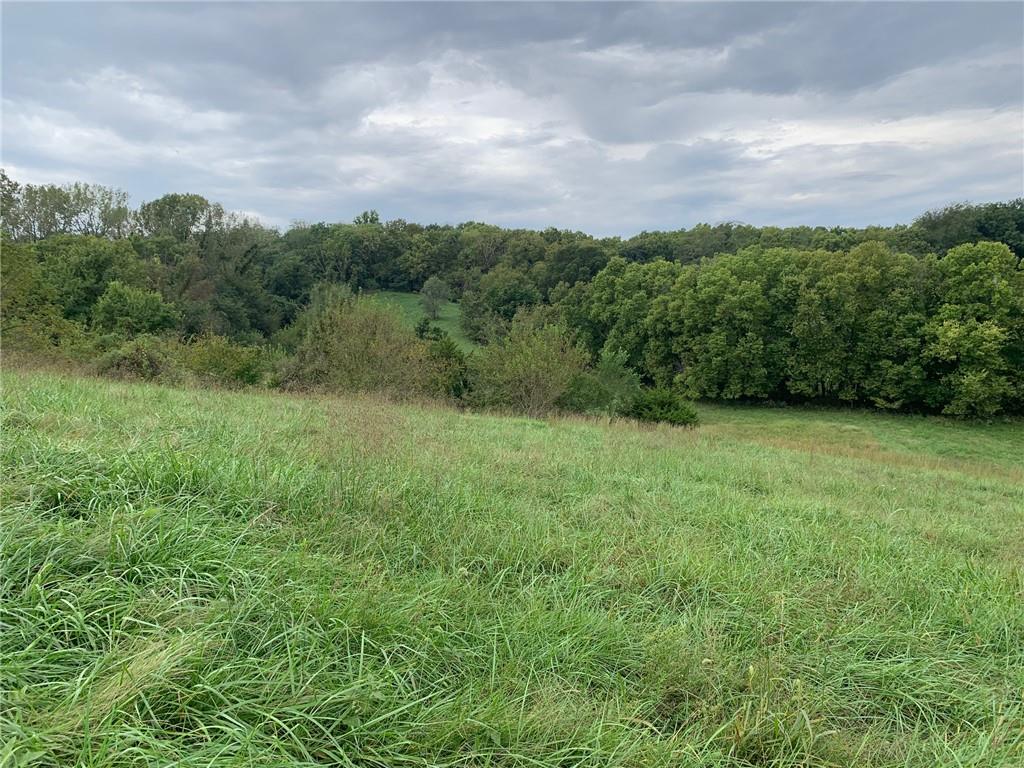 Listing Photo MLS #HMS2645230