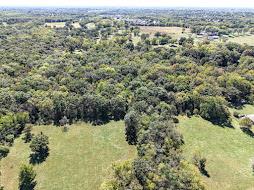 Listing Photo MLS #HMS2645248