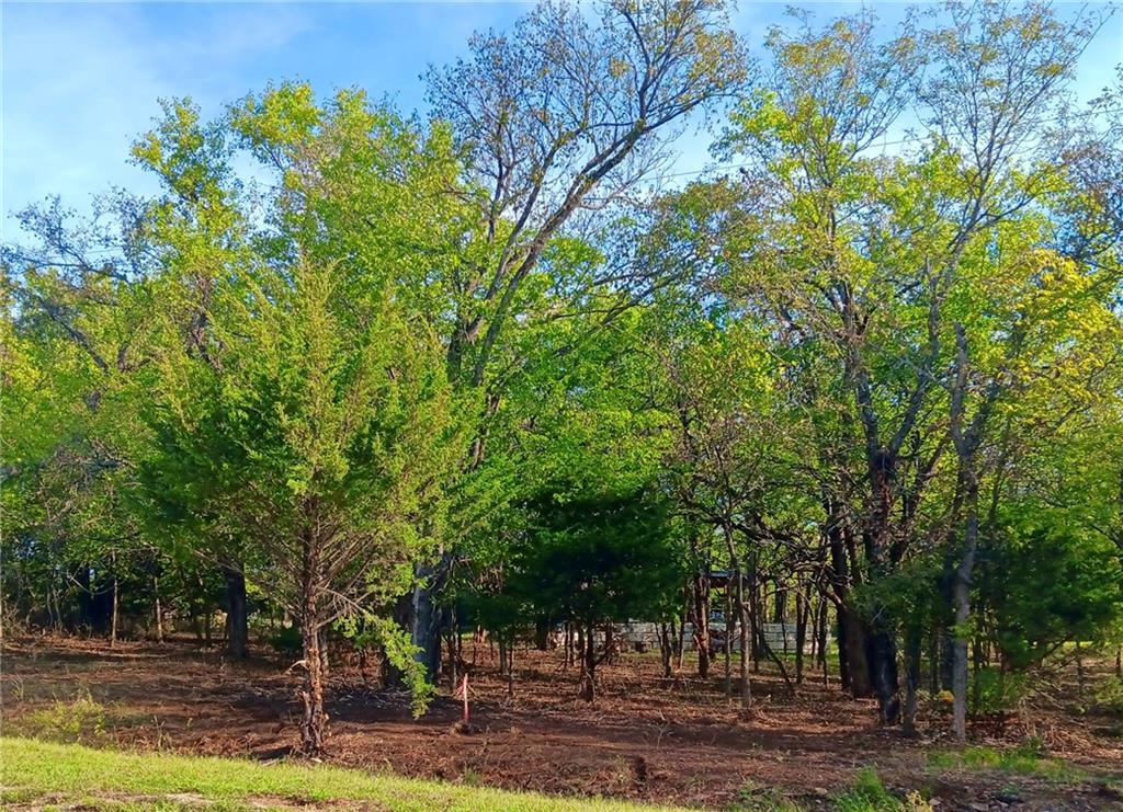 Listing Photo MLS #HMS2645486