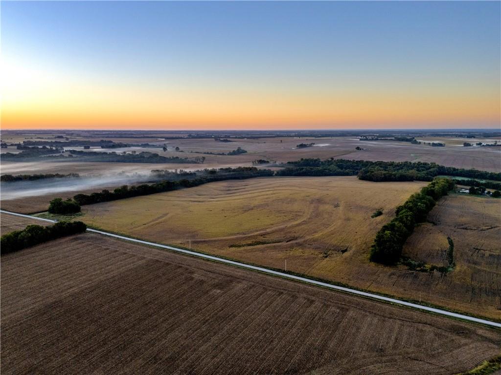 Listing Photo MLS #HMS2645519