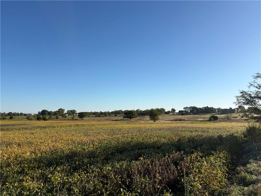 Listing Photo MLS #HMS2645694