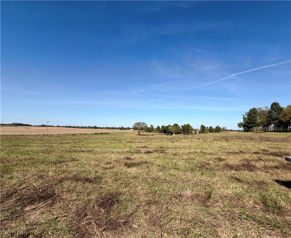 Listing Photo MLS #HMS2645802