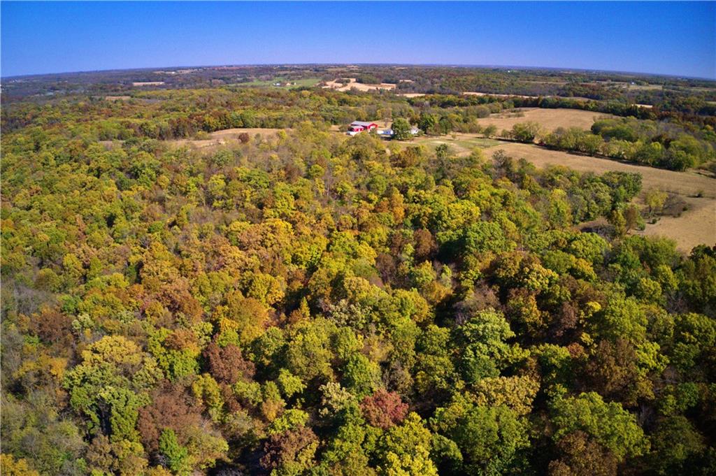 Listing Photo MLS #HMS2645918