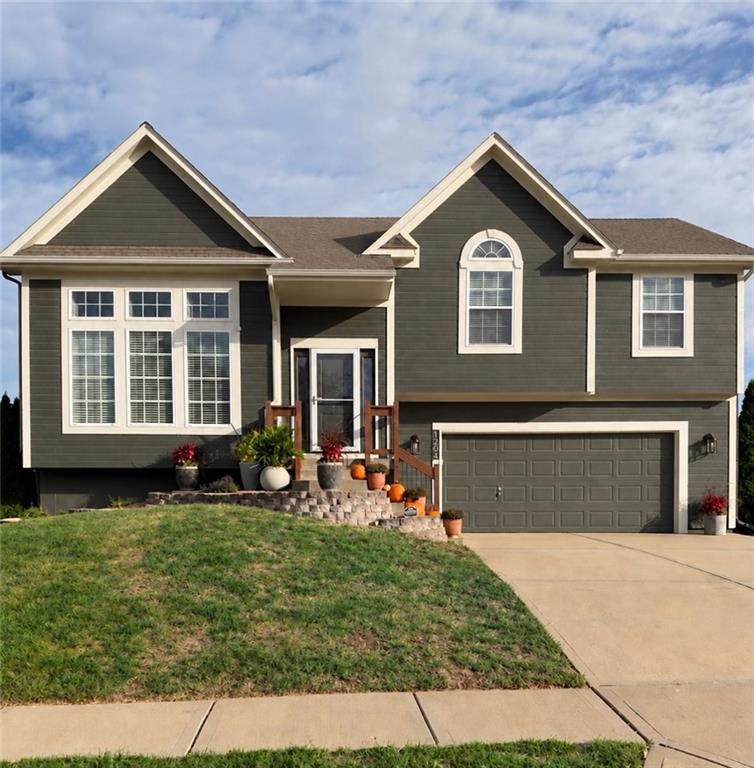 Listing Photo MLS #HMS2645925