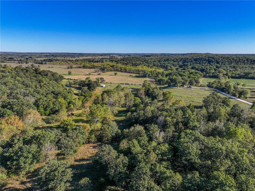 Listing Photo MLS #HMS2645940