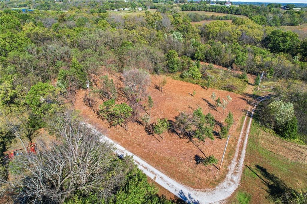 Listing Photo MLS #HMS2646076