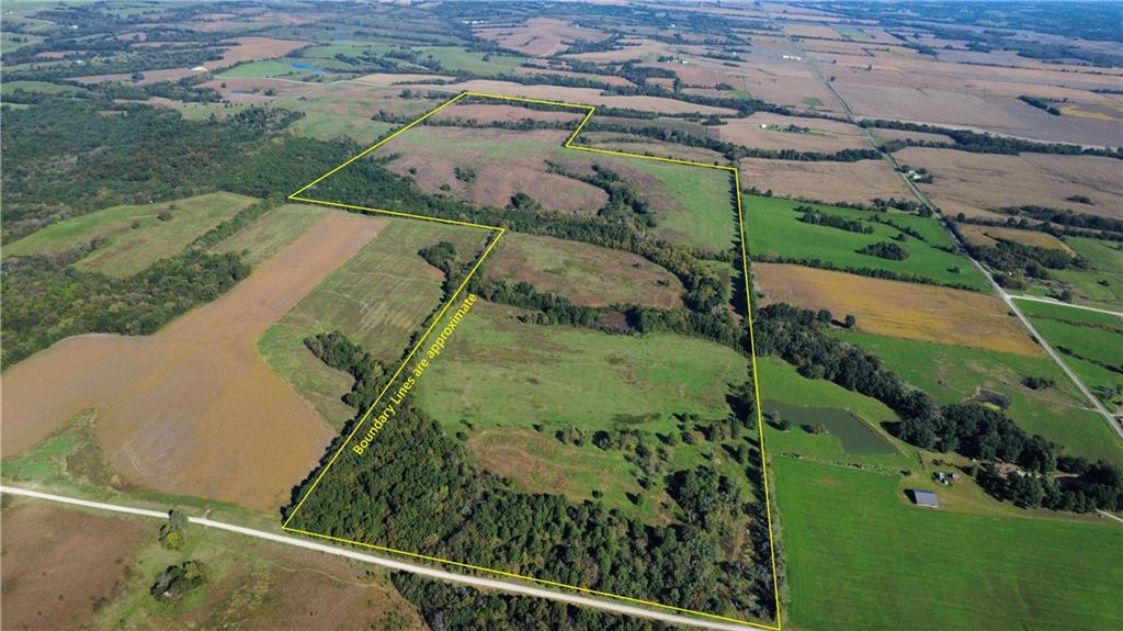 Listing Photo MLS #HMS2646128