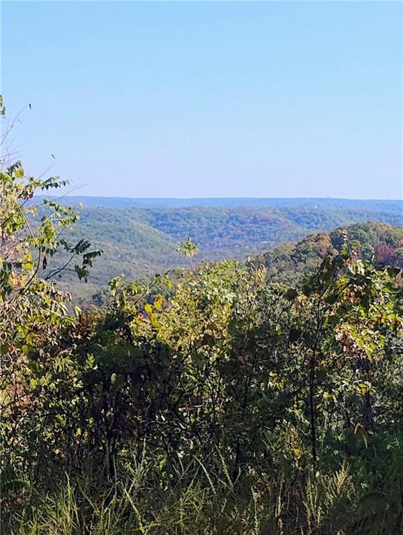 Listing Photo MLS #HMS2646340