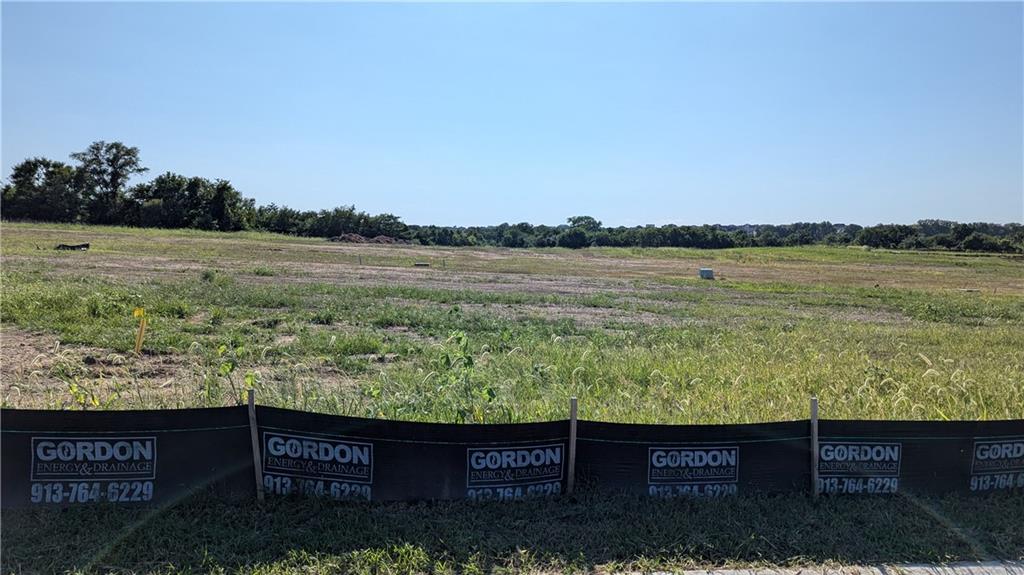 Listing Photo MLS #HMS2646568