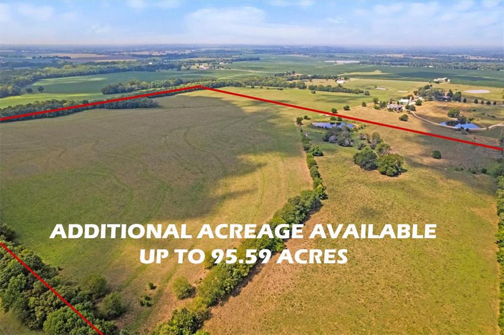 Listing Photo MLS #HMS2646572